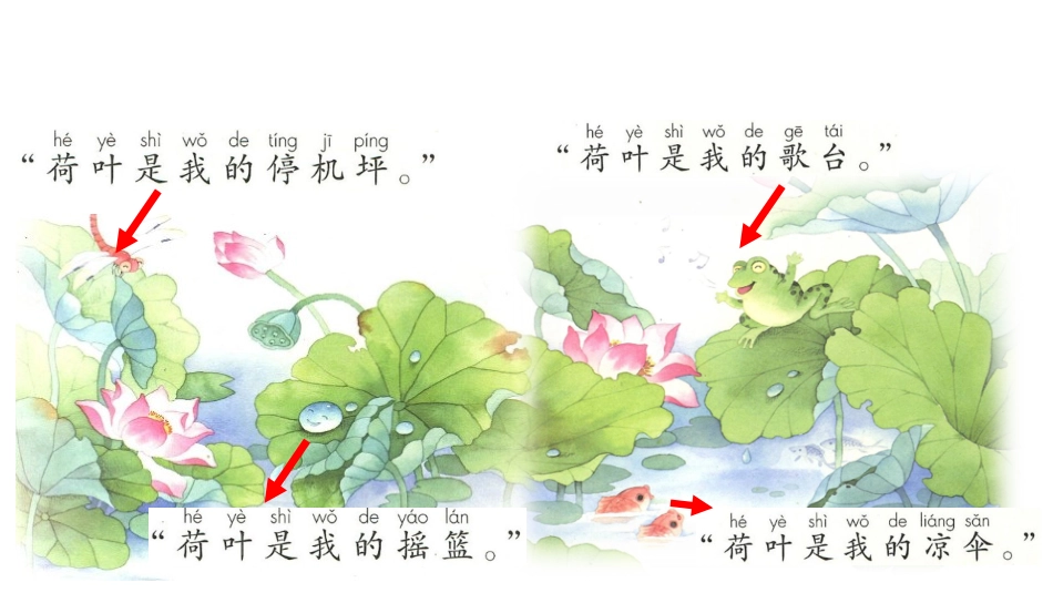 《荷叶圆圆》找一找_第3页