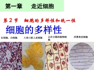 1.2细胞的多样性和统一性