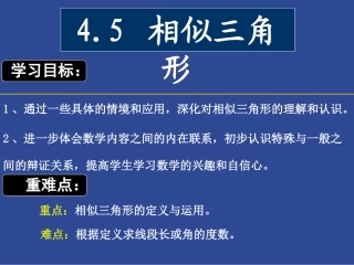 相似三角形刘飞