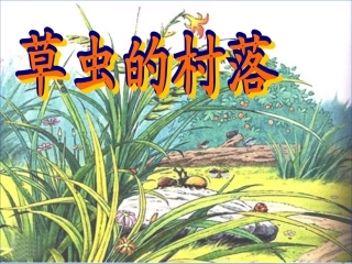 3、草虫的村落