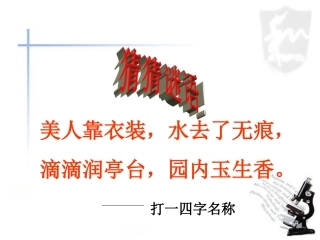 《坚持依法治国》课件1