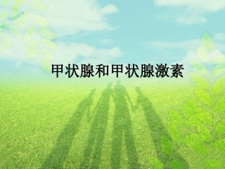 甲状腺和甲状腺激素