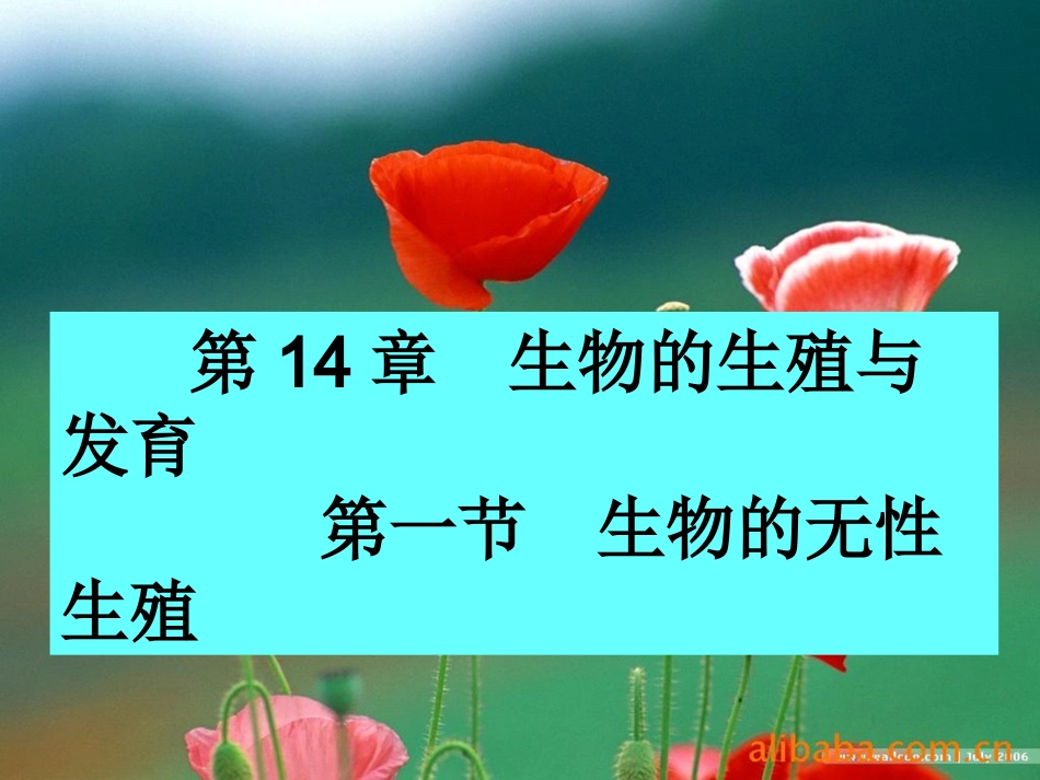 第一节生物的无性生殖课件苏教版_第1页