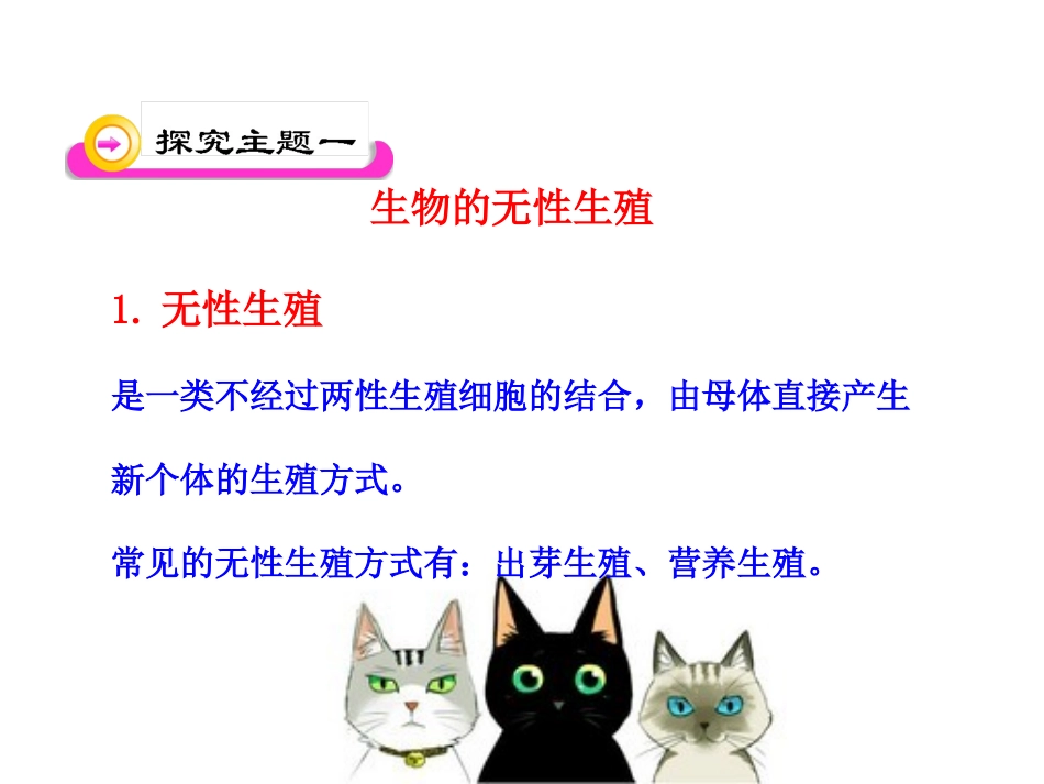 第一节生物的无性生殖课件苏教版_第3页