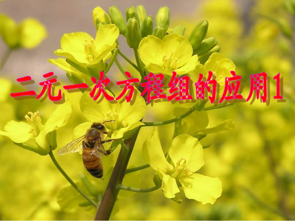 谈实际问题与二元一次方程组_第1页