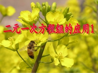 谈实际问题与二元一次方程组