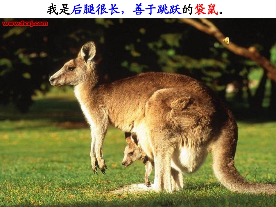 21从现在开始_第2页