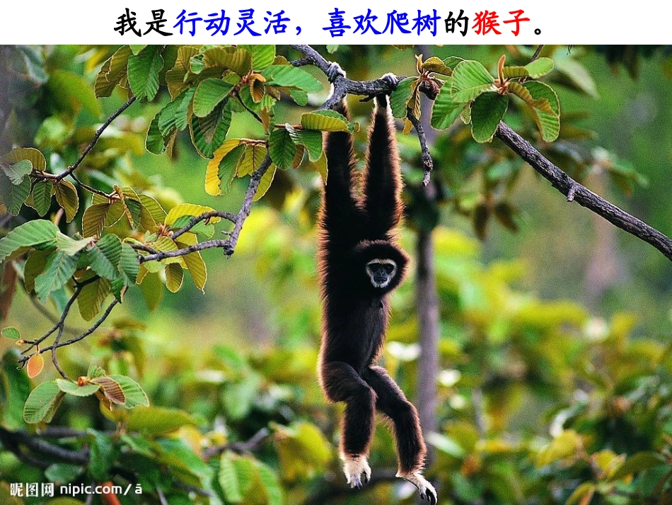 21从现在开始_第3页