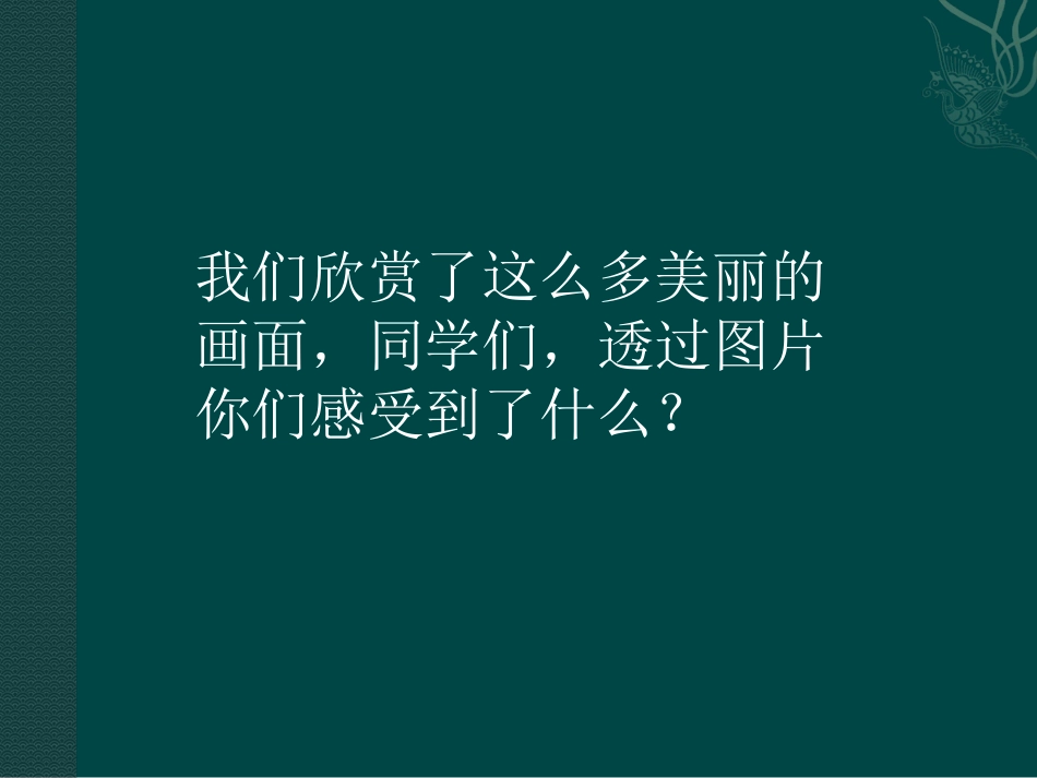 《春天来了》课件_第3页