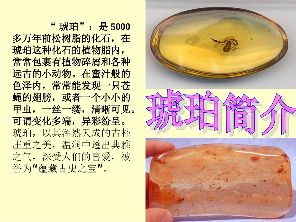 21《琥珀课件_第2页