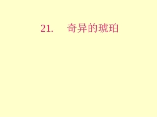 21《琥珀课件