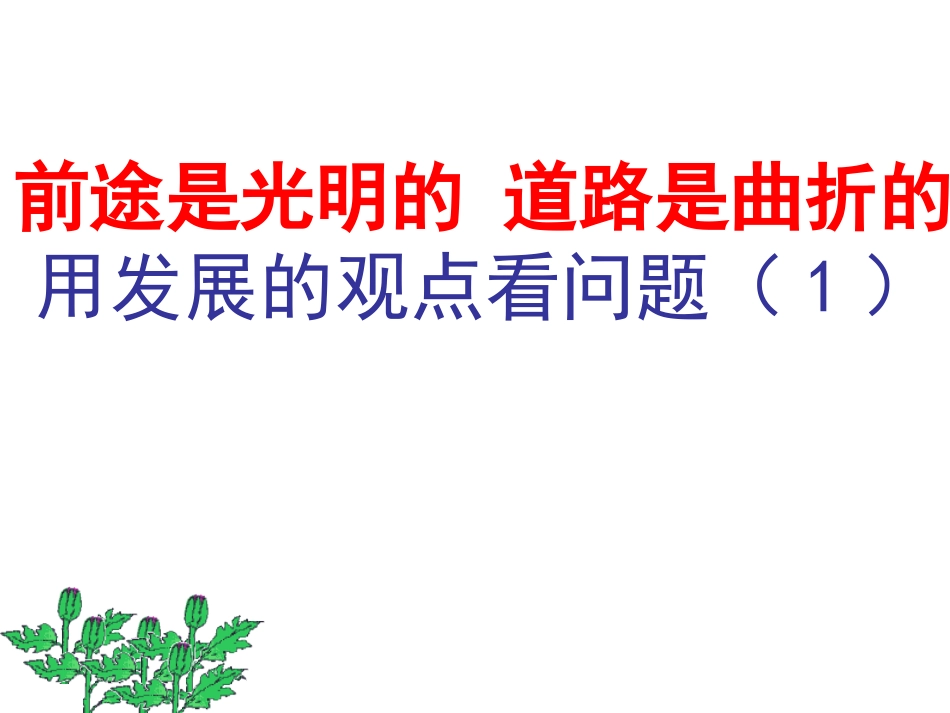 发展的眼光看问题_第1页