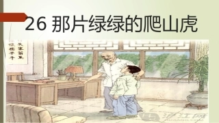 那片绿绿的爬山虎第一课时