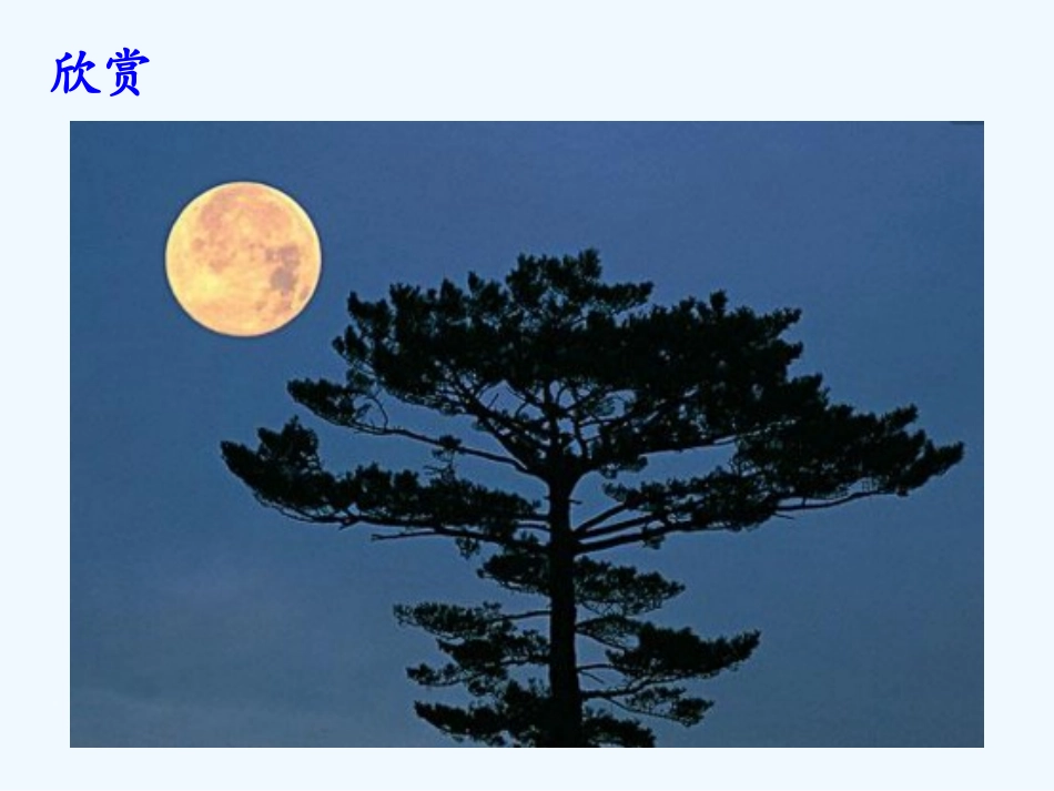 第四课观察月相_第3页