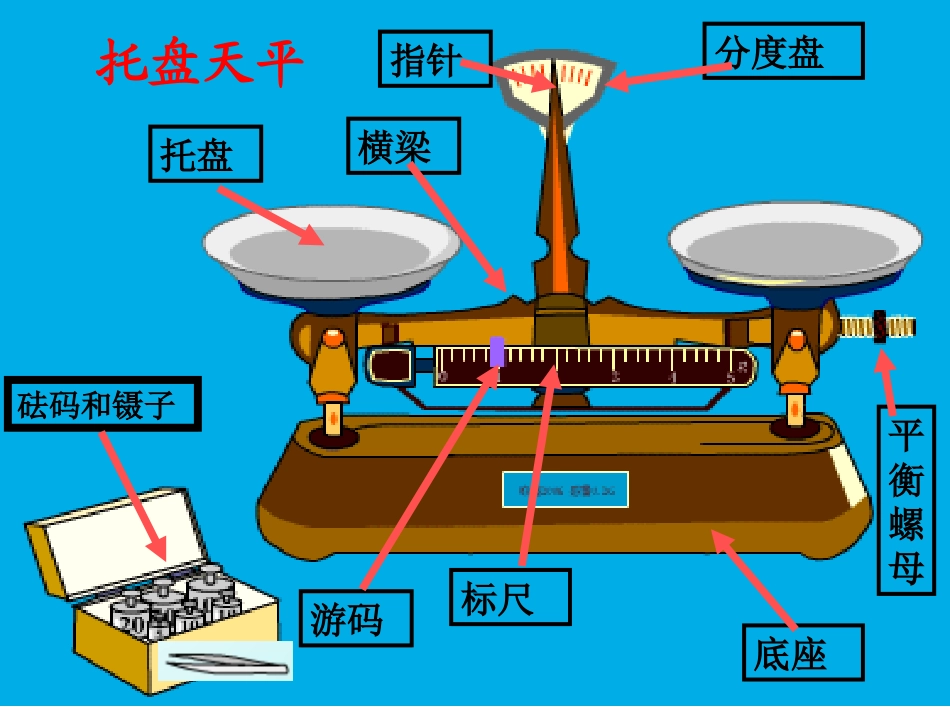 使用天平测量物体的质量_第2页