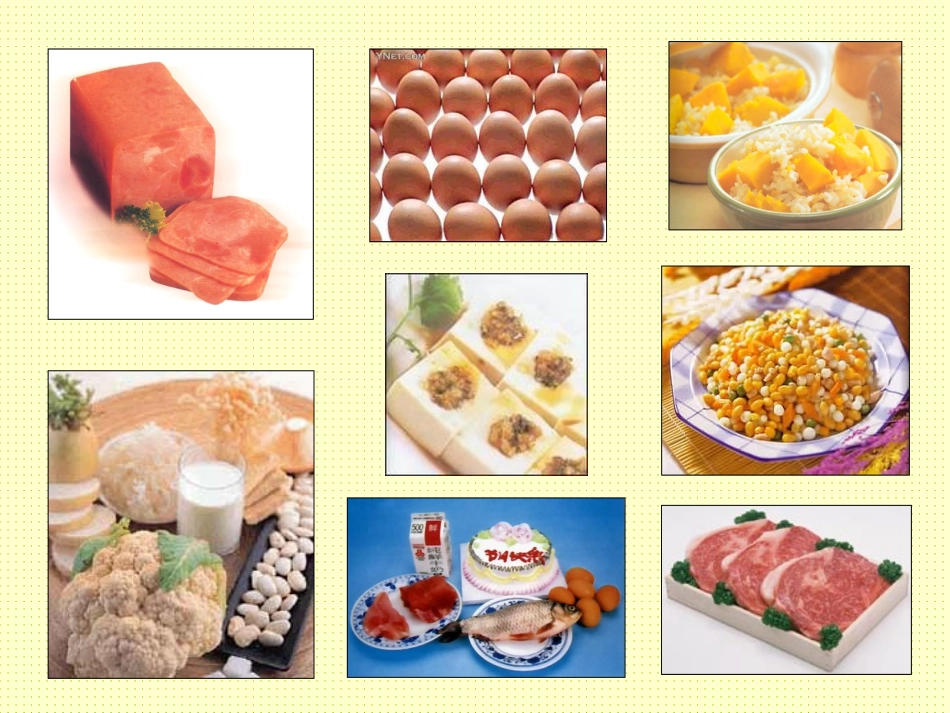 人教版生物必修1第2章《第2节生命活动的主要承担者—蛋白质》上课课件_第3页