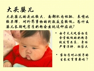 人教版生物必修1第2章《第2节生命活动的主要承担者—蛋白质》上课课件