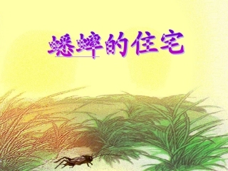 《蟋蟀的住宅》教学课件1