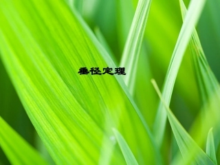 垂径定理共张PPT