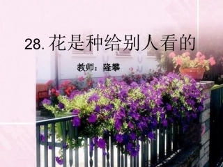 花是种给别人看的
