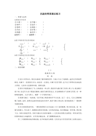 沉寂的雪原课后作业