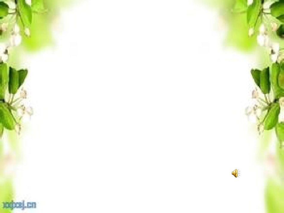 中班语言：魔术师_第2页
