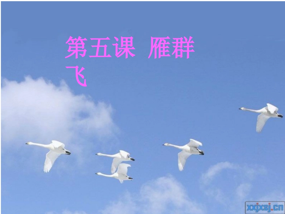 第五课雁群飞_第1页