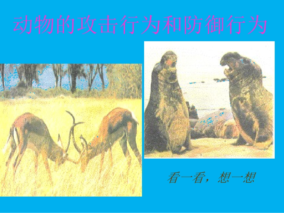 《10.-周围的生物》课件2_第3页