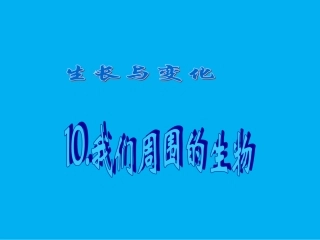 《10.-周围的生物》课件2