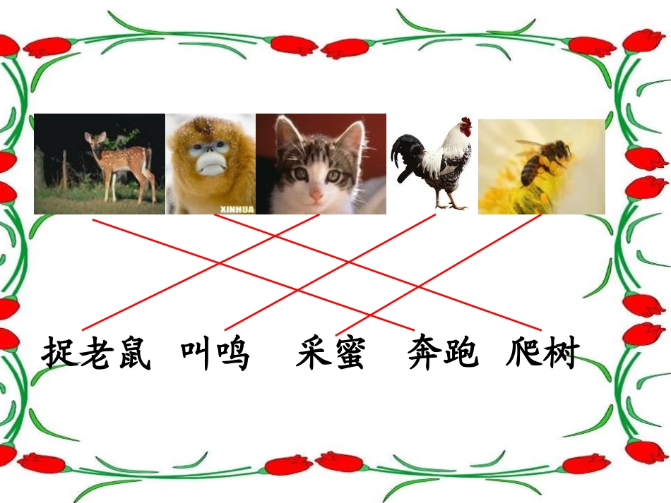 比本领比本领_第2页