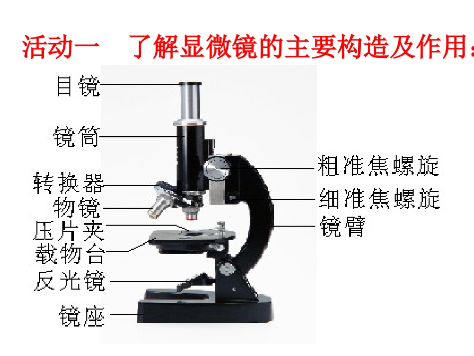 细胞的多样性和统一性_第2页