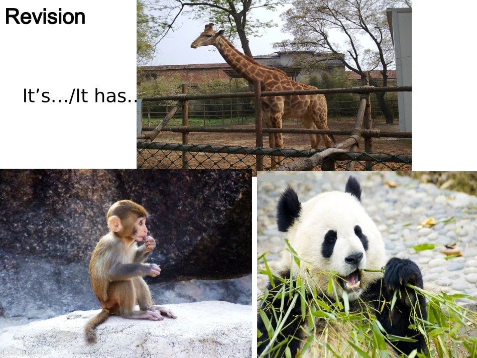 人教版pep（2012教材）小学三下Unit3AtthezooPeriodSix课件_第2页