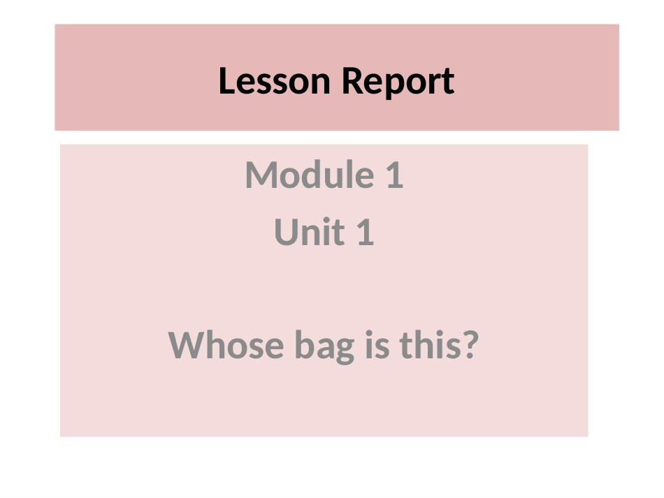 说课LessonReport_第1页