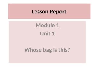 说课LessonReport
