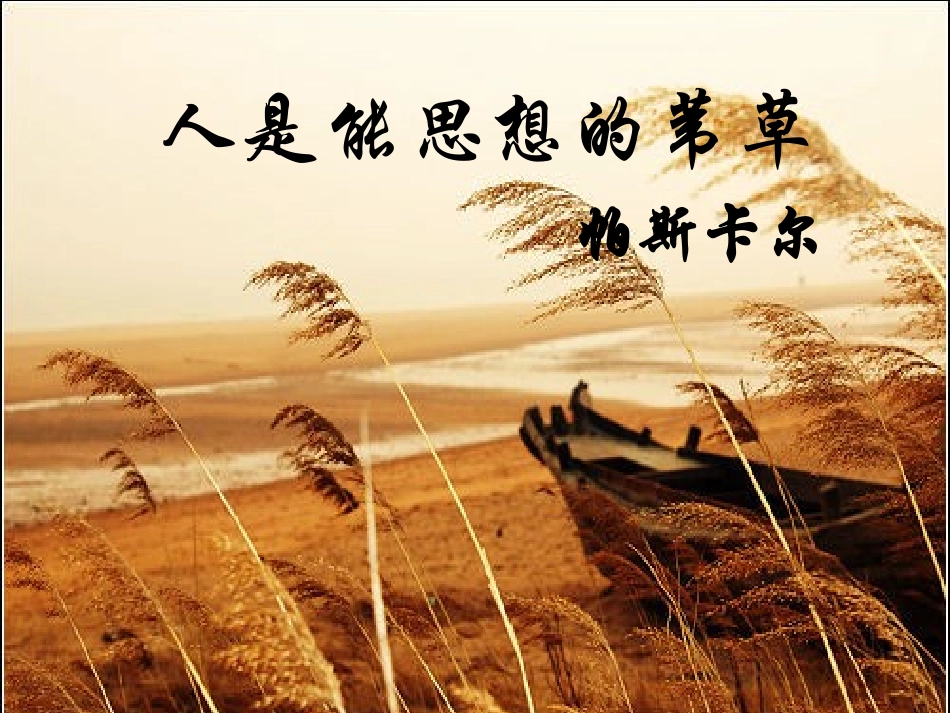 《人是能够思想的芦苇》课件_第3页