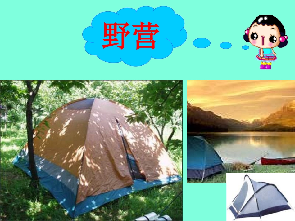 三年级语文威尔逊出游1_第3页