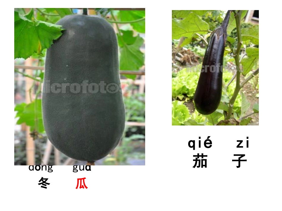 《一次比一次有进步》课件_第3页