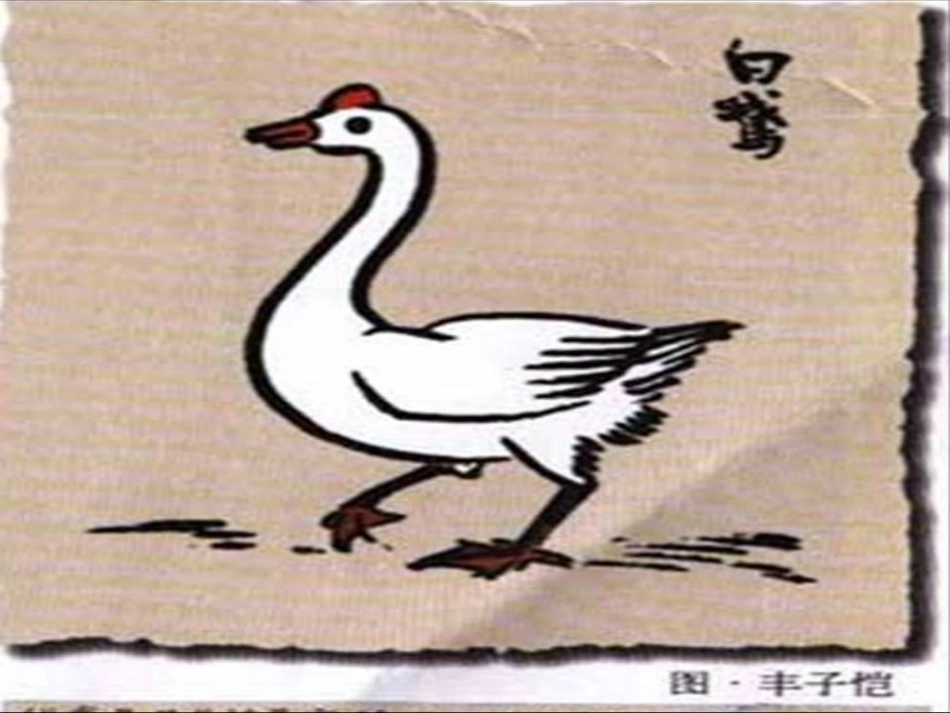 13白鹅上课用_第1页