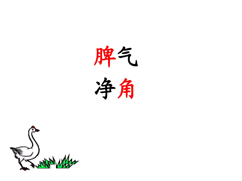 13白鹅上课用_第3页