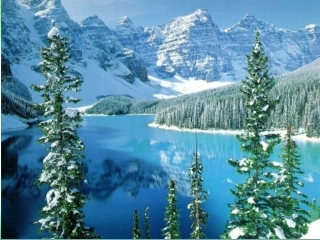 《瑞雪图》课件