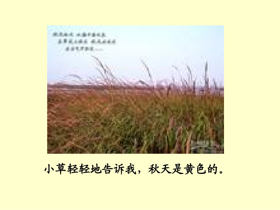 演示文稿1秋天的颜色_第3页