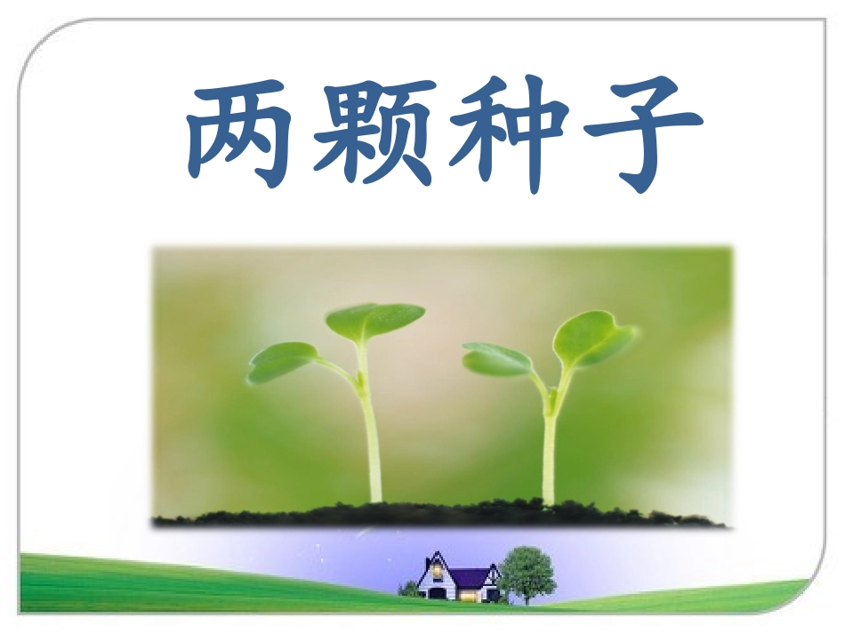 《两颗种子》课件2_第1页