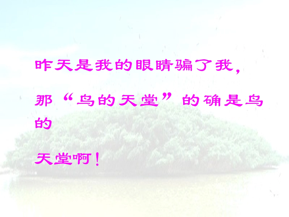 《鸟的天堂》课件_第2页