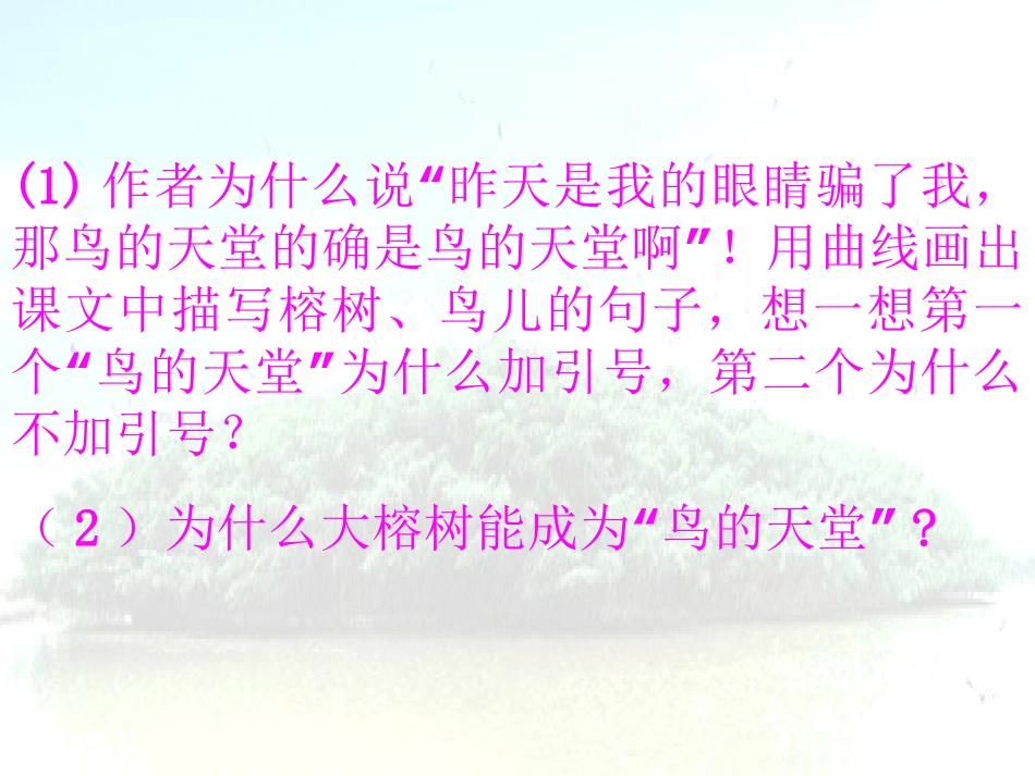 《鸟的天堂》课件_第3页