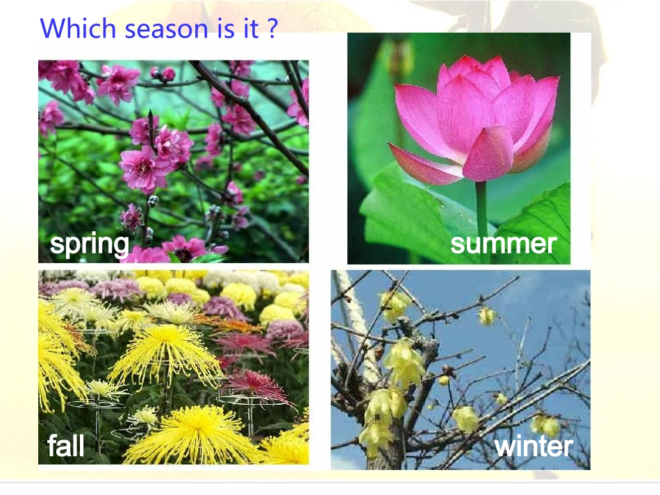 PEP小学英语五年级下册第二单元Part_A_Let's_talk_第2页