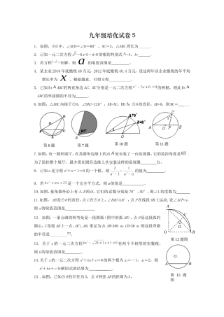九年级上培优试卷5