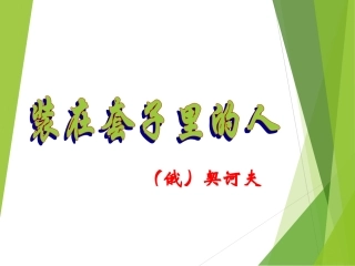 《装在套子里的人》课件2