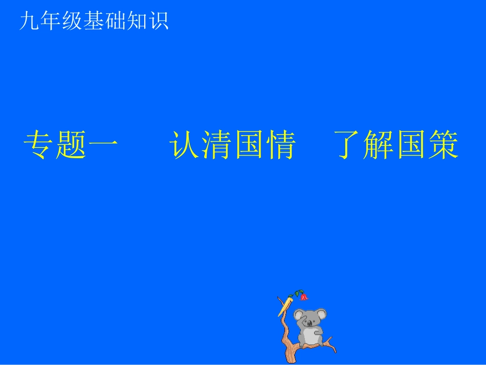 (讲课)九年级知识专题一《认清国情》：_第1页