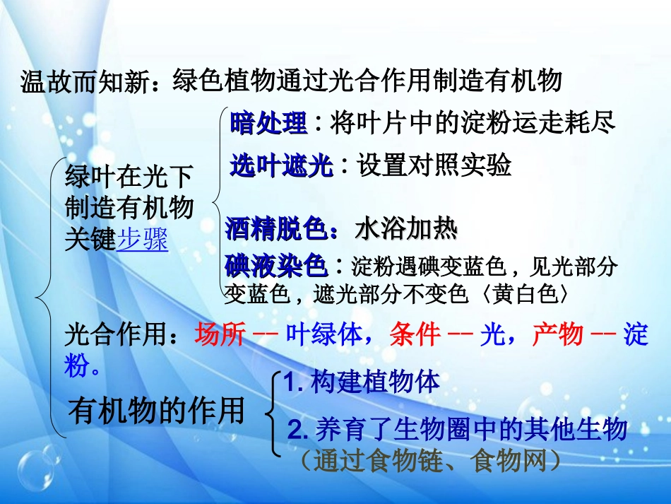 光合作用吸收二氧化碳释放氧气_第3页