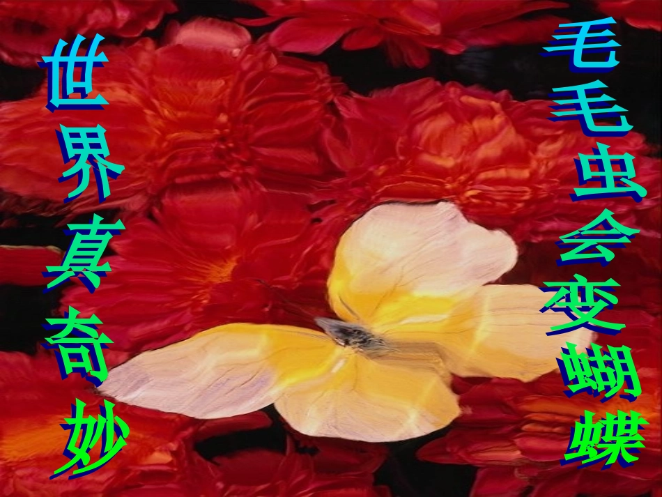 第二节昆虫的生殖和发育_第3页